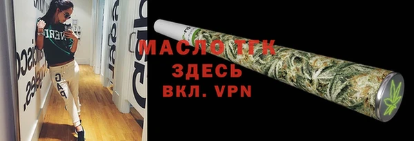 молекула духа Арсеньев