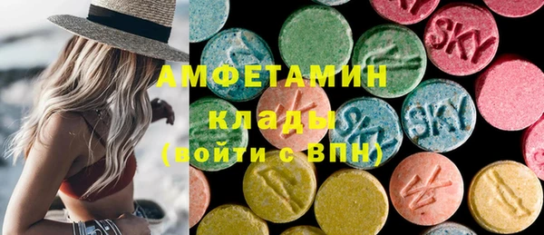молекула духа Арсеньев