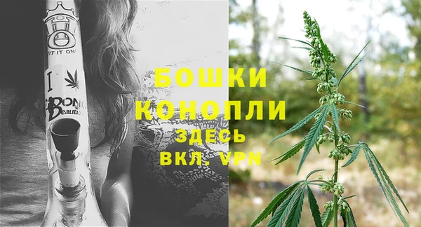 молекула духа Арсеньев