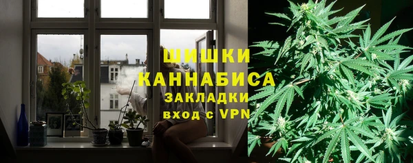 Альфа ПВП Аркадак