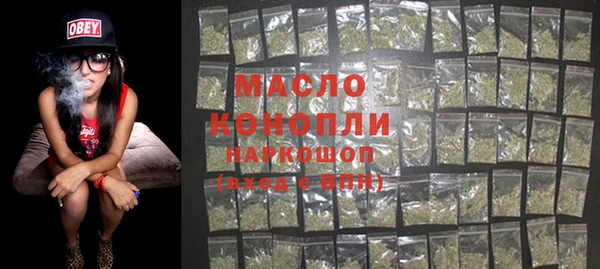 молекула духа Арсеньев