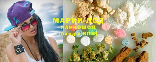 Альфа ПВП Аркадак