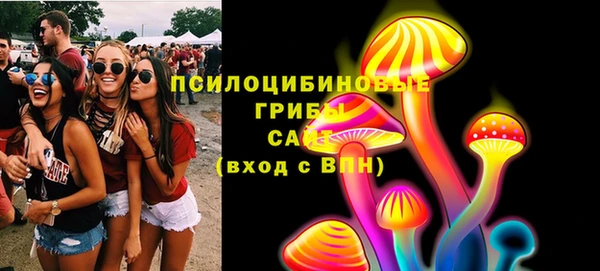 молекула духа Арсеньев