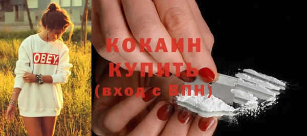 молекула духа Арсеньев