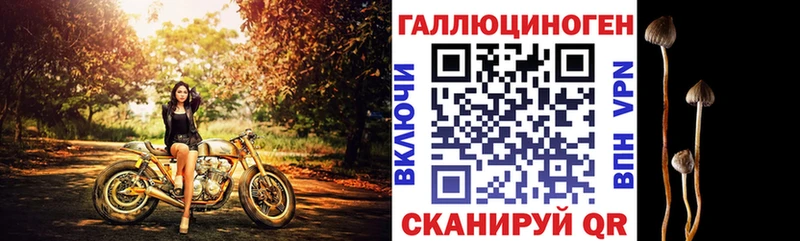 блэк спрут зеркало  Белебей  Галлюциногенные грибы Psilocybe  купить закладку 
